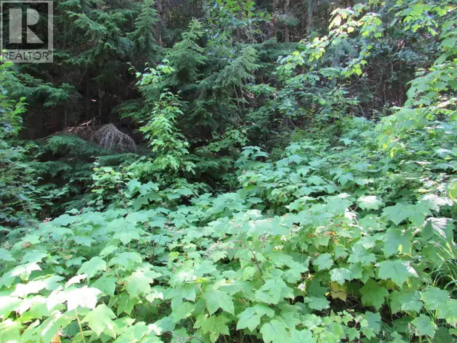 1365 Forest Road Castlegar, British Columbia in Land for Sale in Nelson - Image 12