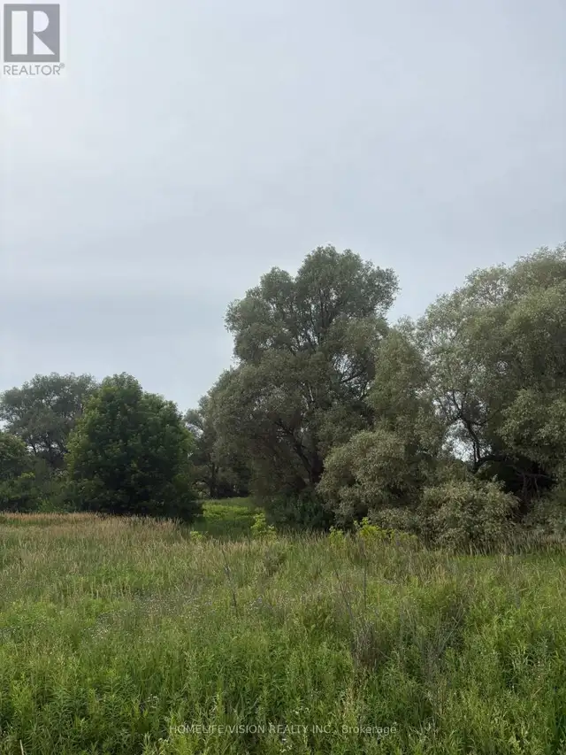 0 HIGHWAY 89 Innisfil (Cookstown), Ontario in Land for Sale in Barrie - Image 7