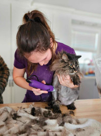 at-home animal care services for cat, dog and exotic animal