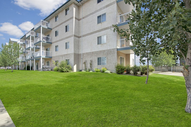 Beautiful 2 bed~Elevator~Pet Friendly~Available November 15th* in Long Term Rentals in Edmonton - Image 3