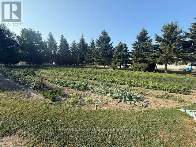 559 BERVIE SIDE ROAD Kincardine, Ontario in Land for Sale in Owen Sound - Image 36