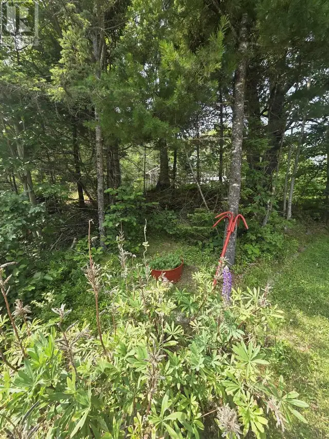 Highway 103 Sable River, Nova Scotia in Land for Sale in Yarmouth - Image 3