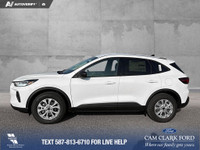 Thanks for viewing our Cam Clark Ford Inventory! WAS: $38544 NOW: $37544 plus taxes and licensing fe... (image 3)