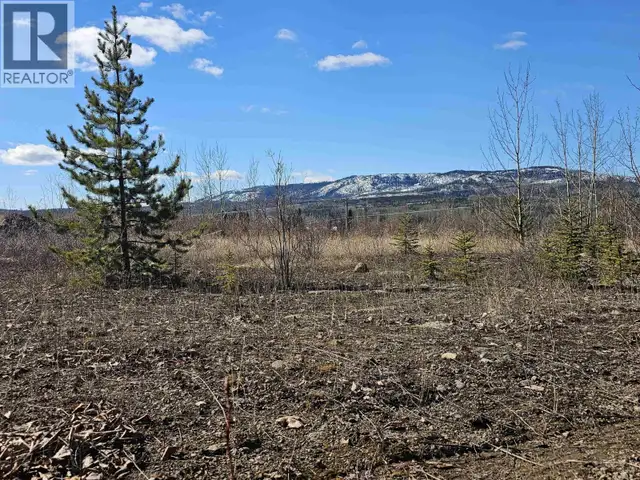 970 NASH ROAD Burns Lake, British Columbia in Land for Sale in Burns Lake - Image 7