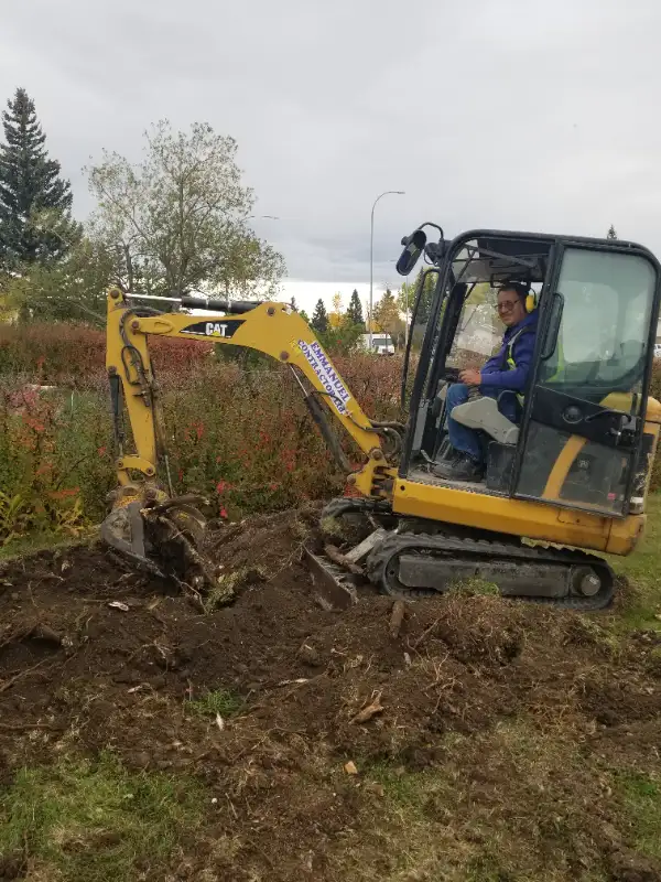 Tree Stumps, Bush Removal & Landscaping63006658794755121
