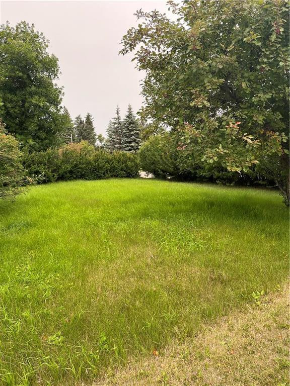 238 1st Avenue SW Minnedosa, Manitoba Houses for Sale Winnipeg Kijiji