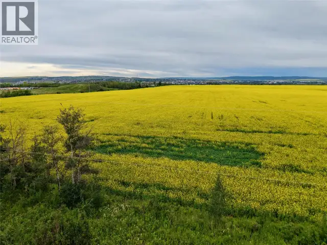223 Road Dawson Creek, British Columbia in Land for Sale in Dawson Creek - Image 4
