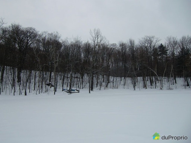$99,000 - Residential Lot for sale in St-Andre-D'Argenteuil — photo 1
