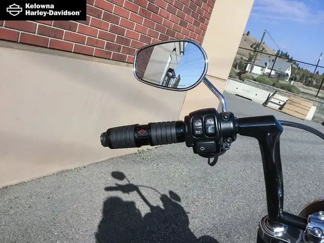 2021 Harley-Davidson Softail FLSL - Slim in Street, Cruisers & Choppers in Kelowna - Image 16