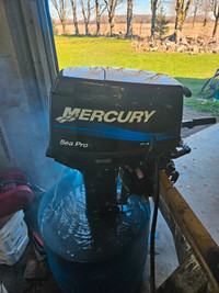 Mercury 25 hp