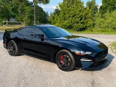 2018 Mustang 2.3 ecoboost 6 spd manual with A/C , cruise , pw , plocks , 19" alloys , blackout pkg ,...