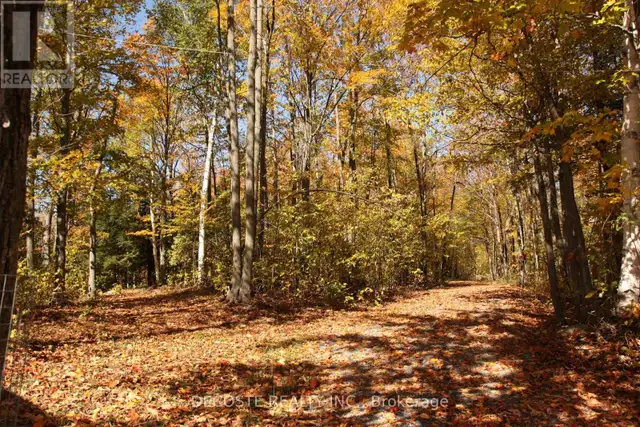 0000 COUNTY 43 ROAD North Glengarry, Ontario in Land for Sale in Ottawa - Image 20
