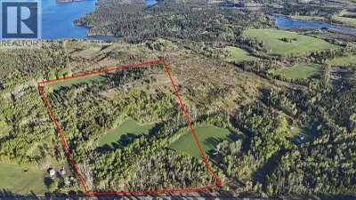 Quality acreage overlooking Bridge Lake. This 66+ acre property has 3 separate hay fields with 11+ a...