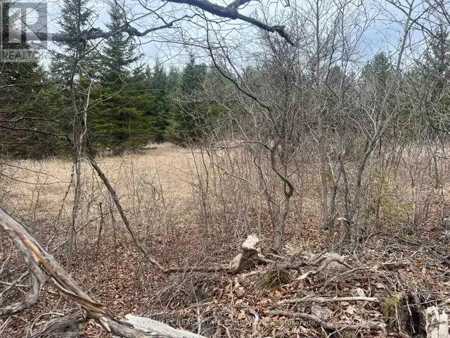 00 N. DUMMER 7TH LINE ROAD Douro-Dummer, Ontario in Land for Sale in Peterborough - Image 9