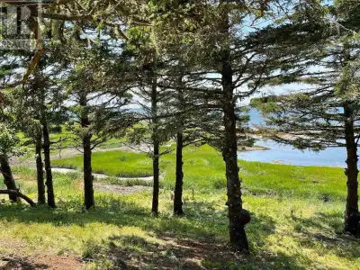 Experience the charm of Southwest Oceanfront living on 21 acres, featuring +/- 388 feet of captivati...