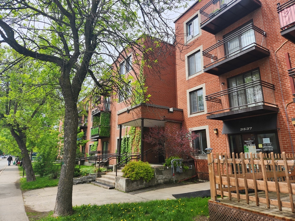 3535 Rue Rachel Est — photo 3