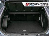 The above price does not include popular option accessories, including but not limited to: * 3M Pain... (image 6)