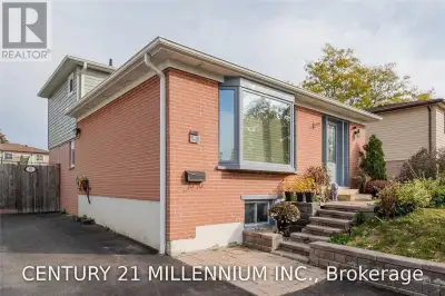 Great Location! Detached Home On a 50' x 100' Lot. 3 Bedrooms And 2 Washroom Detached Sun Filled Hom...