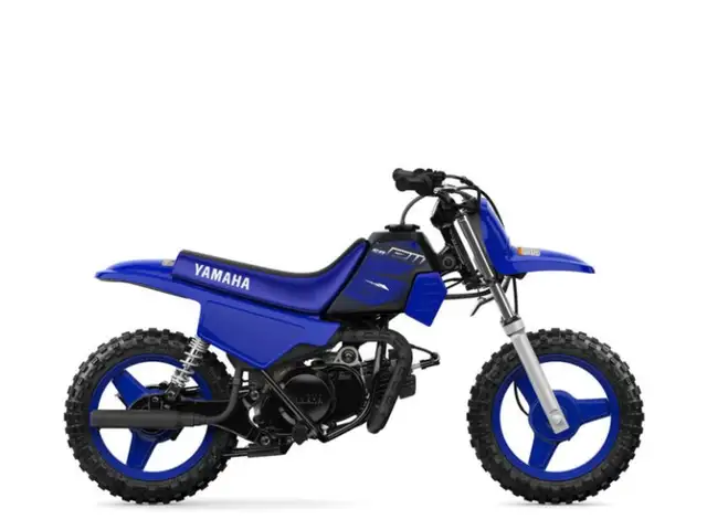 2023 Yamaha PW50 in Street, Cruisers & Choppers in Vancouver - Image 2