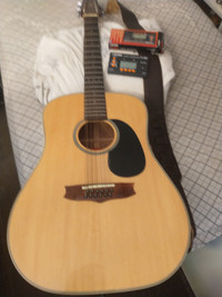 Guitar 12 String Acoustic with Case $300.00 Sounds Awes