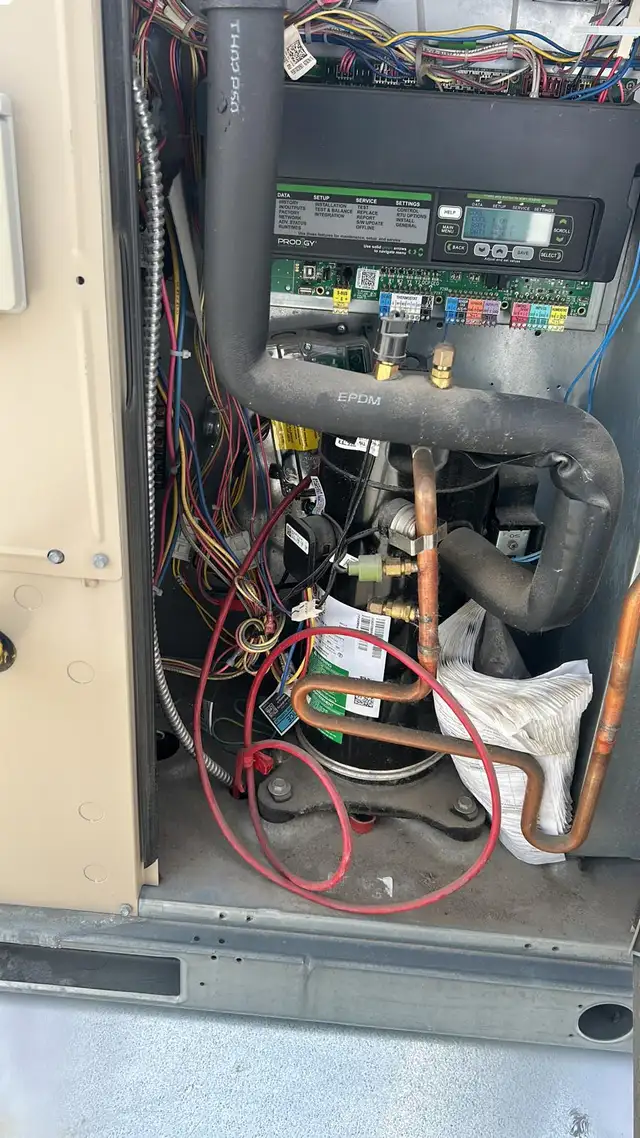 certified appliance technician red seal and journeyman63235119505409121
