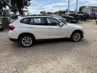 TREATY.....NO TAX.....FOR ALL INDIVIDUALS WITH TREATY CARD. CASH, DEBIT, BANK DRAFT, CREDIT CARD OR... (image 2)