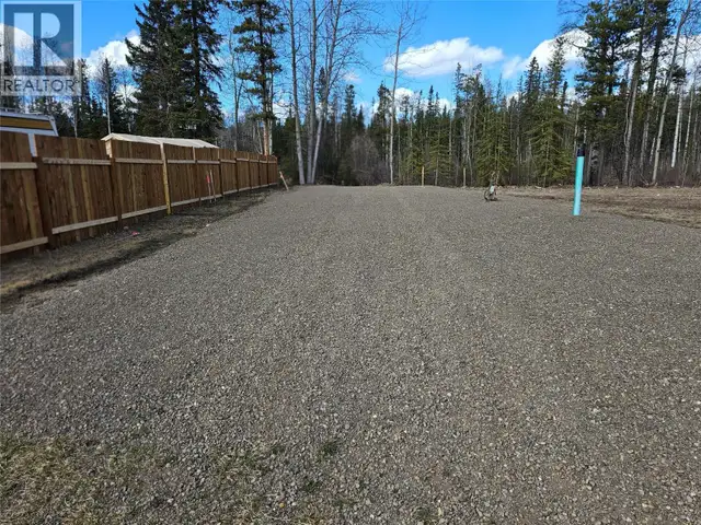 173 Steeprock Gate Tumbler Ridge, British Columbia in Land for Sale in Dawson Creek - Image 4