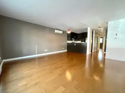 Hochelaga - Superbe Condo 4 1/2 Rénové avec GARAGE - 1 Septembre