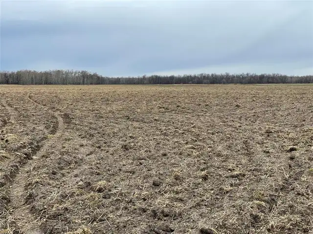 0 40W/47N Road St Claude, Manitoba in Land for Sale in Portage la Prairie - Image 6