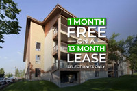 First month free on a 13 month lease! - Durham County - Apartmen