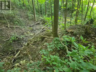 Vendor-take-back available on this lot! Discover this beautiful quiet, treed property. This exceptio...