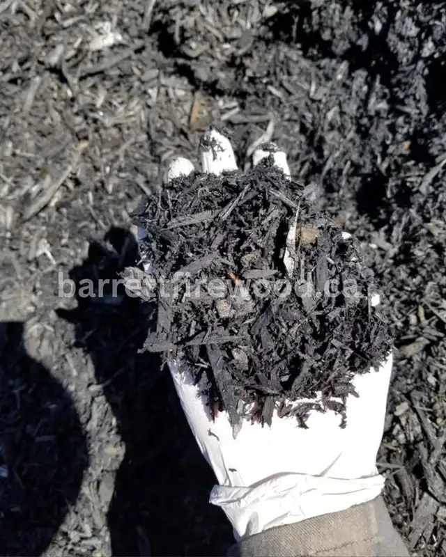 Black Mulch Bagged