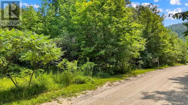 0 LEGREE STREET Greater Madawaska, Ontario in Land for Sale in Renfrew - Image 3