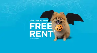 Broadstreet’s Terra Greens offers 1, 2, and 3-bedroom pet-friendly apartments for rent in Regina. In...