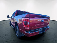 Experience the power and versatility of the 2021 Ford F-150 XLT in a striking red finish with a robu... (image 2)