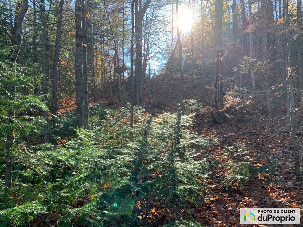 $49,900 - Recreation lot for sale in St-Sauveur — photo 3