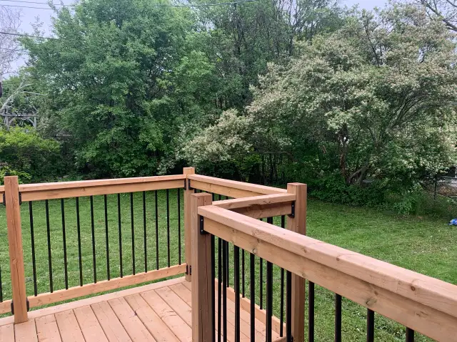 Bright 2 Bedroom + Den Lower Apartment – West End Peterborough in Long Term Rentals in Peterborough - Image 11