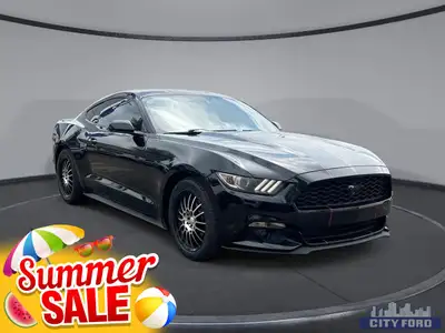 City Ford is Family Owned and Operated serving Edmonton and area for Over 37 Years - Over 300 New &...
