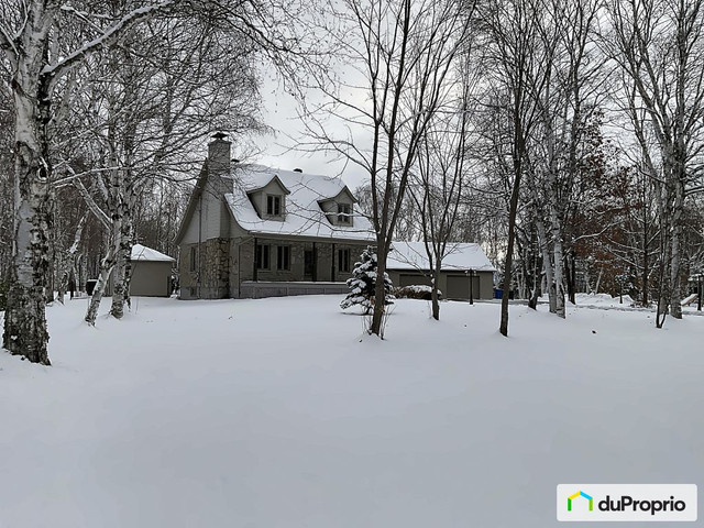 695 000$ - Maison à un étage et demi à Dolbeau-Mistassini dans Maisons à vendre  à Lac-Saint-Jean - Image 3