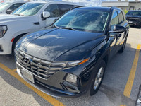 2024 Hyundai Tucson Trend One Owner, Trend Pkg, Panoramic Roo...