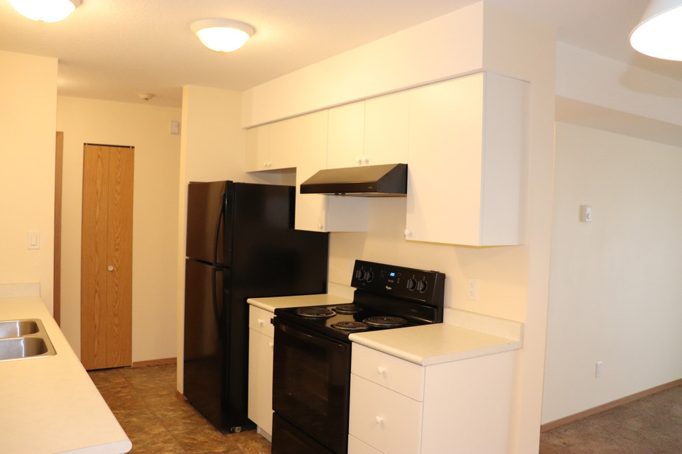 2nd Level 2 Bedroom Remodel in-suite laundry! in Long Term Rentals in Fort St. John