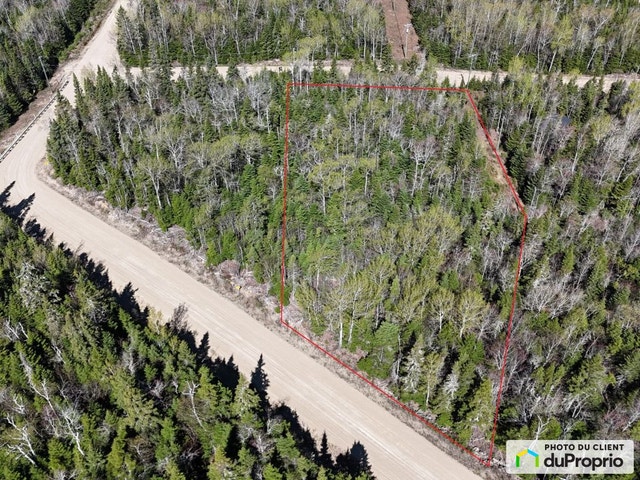 $62,000 - Residential Lot for sale in Petite-Riviere-St-Francois — photo 3