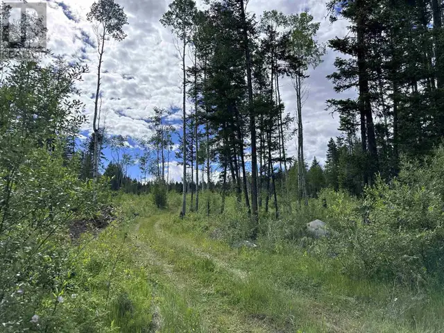 LOT 1 CHUCKWAGON TRAIL 100 Mile House, British Columbia in Land for Sale in 100 Mile House - Image 3