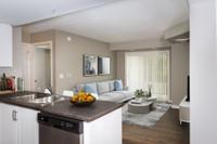 Atwood Suites is located at 5 Schroder Crescent, near the Victoria Road North and Highway 7 intersec... (image 2)