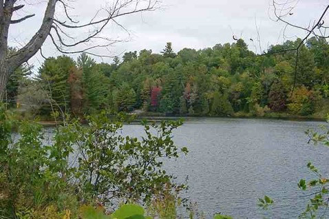 One Bedroom Apartment For Rent Bracebridge River North Branch in Long Term Rentals in Muskoka - Image 2