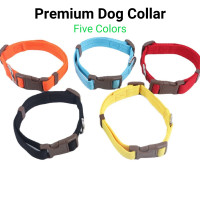 Premium adjustable Dog Collar
