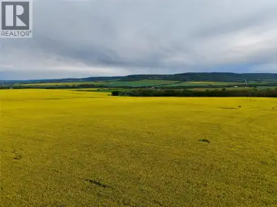 136 Cultivated ACRES 1 mile west of the city. Super location on road 223 with access from Hwy 97S or...