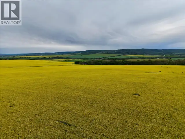 223 Road Dawson Creek, British Columbia in Land for Sale in Dawson Creek - Image 2