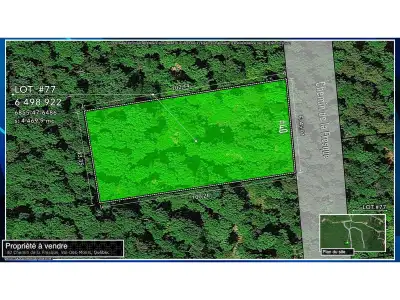 Lot 77: Beautiful land with complete entrance already made up to the construction space. No rear nei...