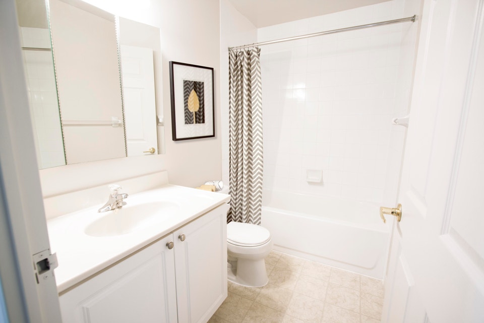 Beaverbrook Towers II - Pinetree Apartment for Rent 4